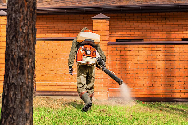 Trusted Rodent Control service in Eastmont, WA - Nex Pest Control
